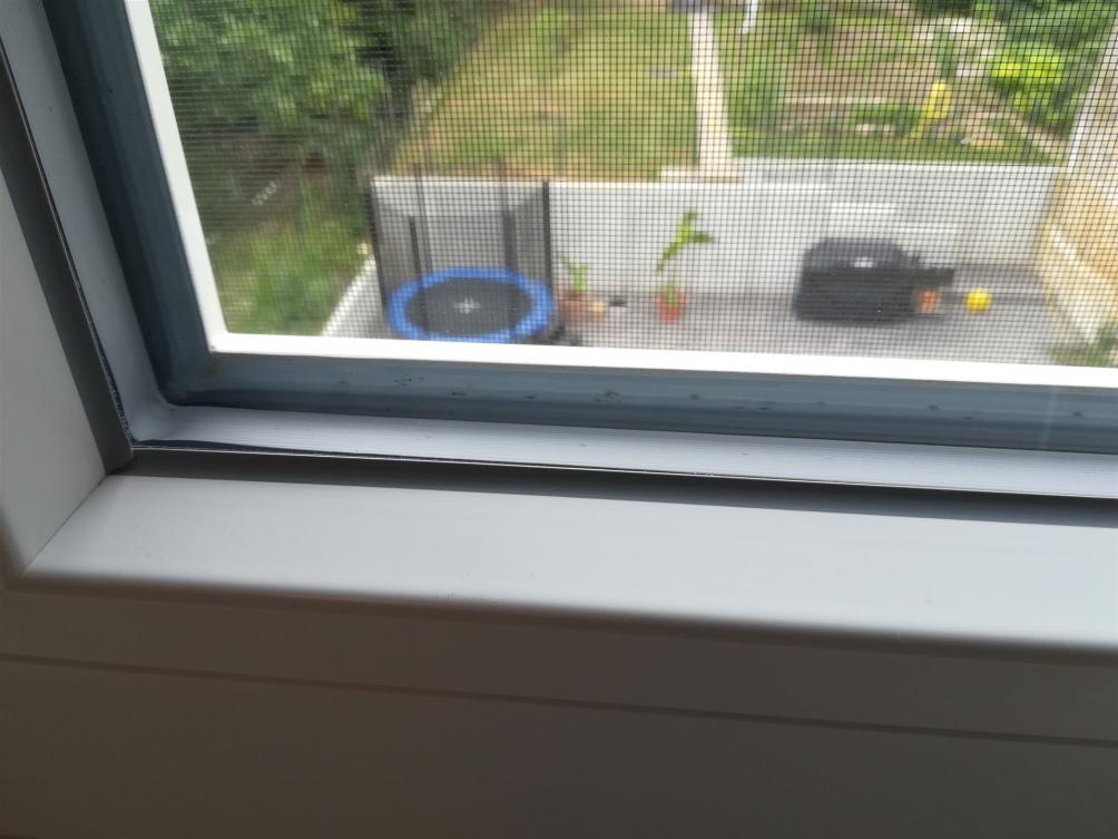 Flecken an der äußeren Glasdichtung
